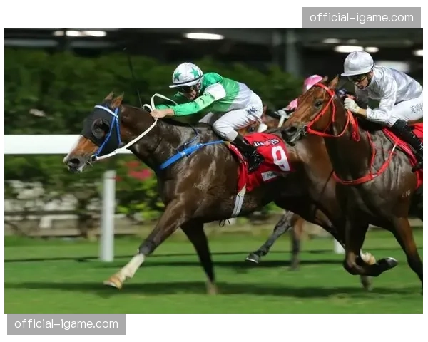 赛事运营机构加大对特种安保投入 品牌价值在安全基础上跃升